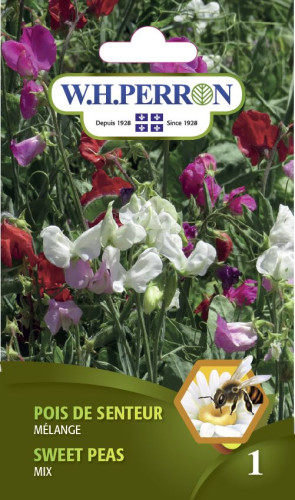 Pois de senteur en mélange - Semences