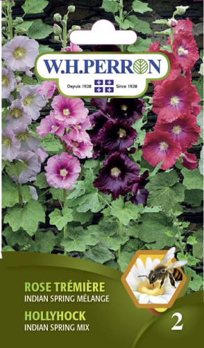 Rose trémière 'Indian Spring' en mélange