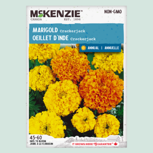 Oeillet d'Inde 'Crackerjack' - Semences