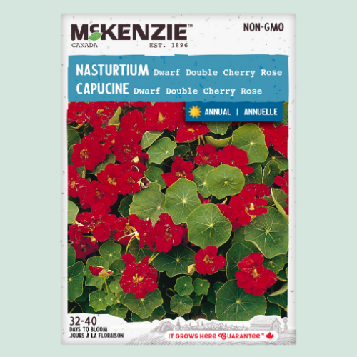 Capucines 'Dwarf Double Cherry Rose' - Semences