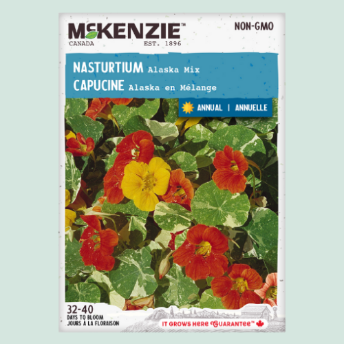 Capucines 'Alaska Mix' - Semences
