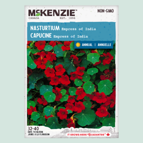 Capucines 'Empress' - Semences