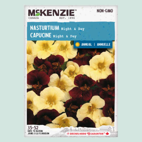 Capucine 'Night & Day' - Semences