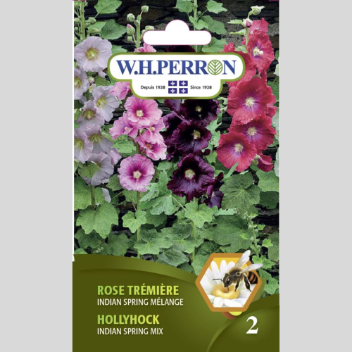 Rose trémière 'Indian Spring' en mélange