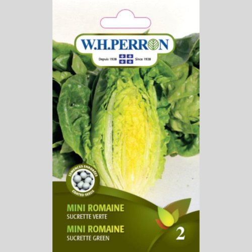 Laitue mini-romaine -  Semences enrobée