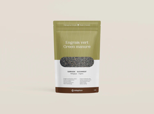 Engrais vert - Semence de Sarrasin Bio