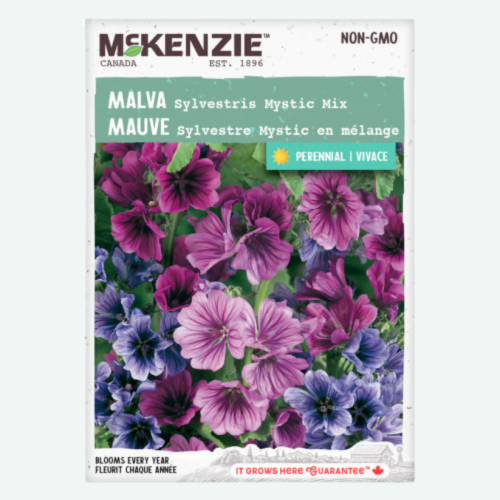 Malva Mystic en mélange - Semences