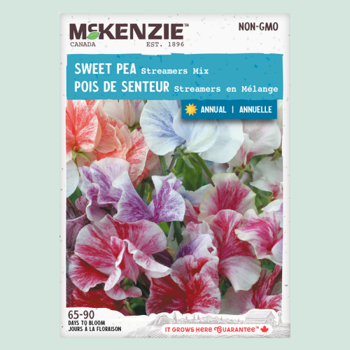 Pois de senteur 'Stream mix' - Semences