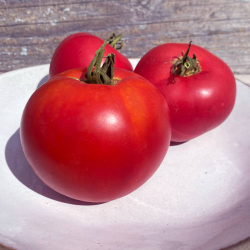 Tomate 'Rose Berne' - Semences Bio