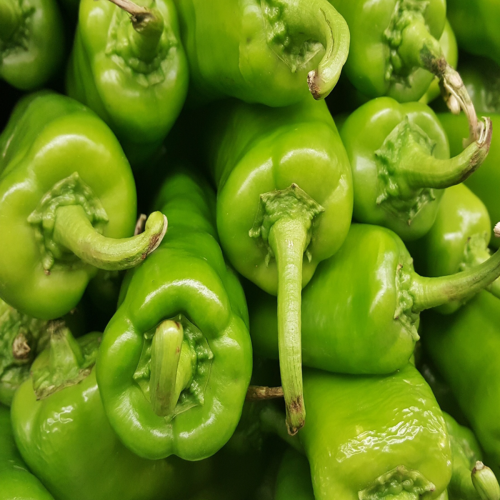 Piment 'Anaheim' - Semences Bio