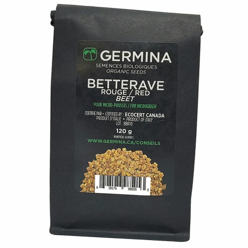 Betterave rouge à germer - Bio - 50g