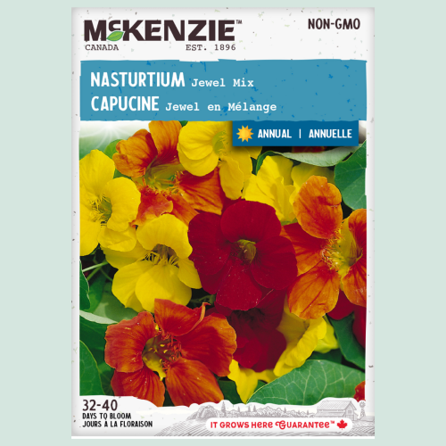 Capucine ''Jewel Mix' - Semences