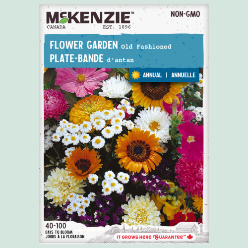 Plate-bande d'Antan - Semences