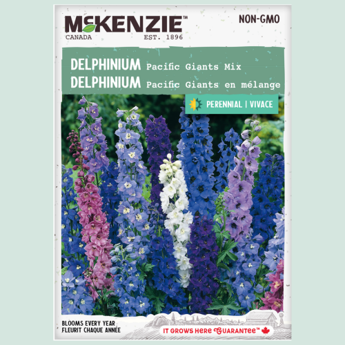 Delphinium 'Pacific' Giant Mix- Semences