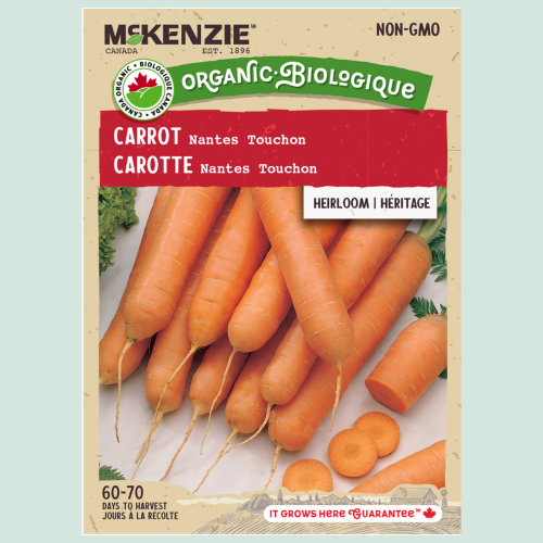 Carotte 'Scarlet Nantes' - Semences en ruban