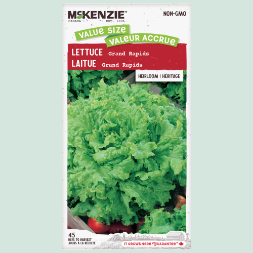 Laitue 'Grand Rapids' en ruban- Semences
