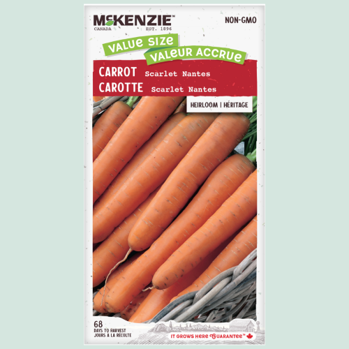 Carottes 'Scarlet Nantes' - Semences