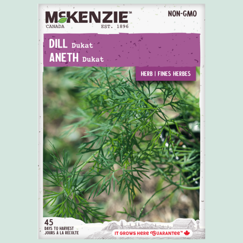 Aneth Dukat - Semences