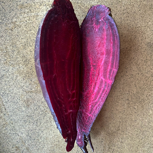 Betterave 'Crapaudine' - Semences Biologique