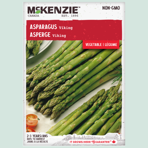 Asperge 'Viking' - Semences