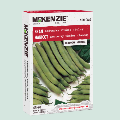 Haricot 'Kentucky Wonder' - Semences