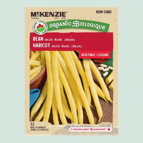 Haricot 'Gold Rush' - Semences