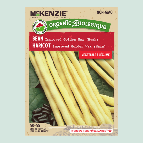 Haricot 'Improved Golden Wax' - Semences
