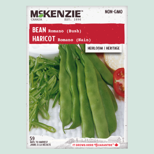 Haricot 'Romano' - Semences