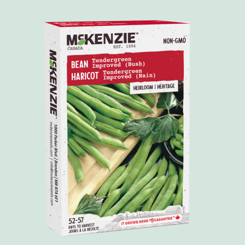 Haricot 'Tendergreen' - Semences