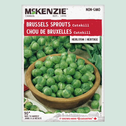 Chou de Bruxelles 'Catskill' - Semences