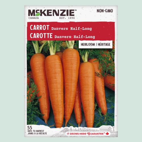 Carottes 'Danvers Half-Long' - Semences