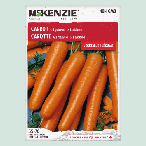 Carotte 'Giggante Flakkes' - Semences
