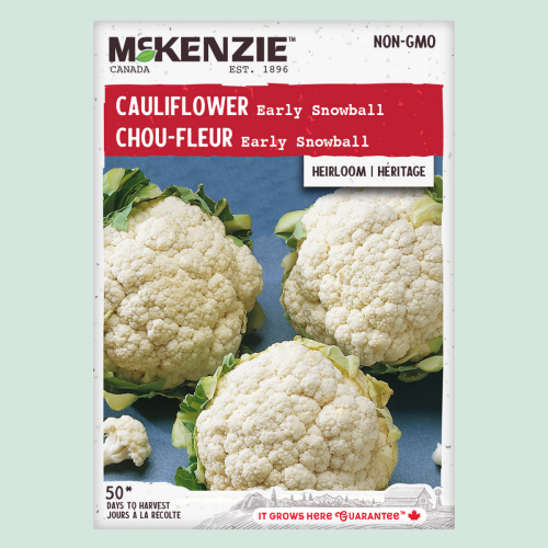 Chou-Fleur 'Early Snowball' - Semences