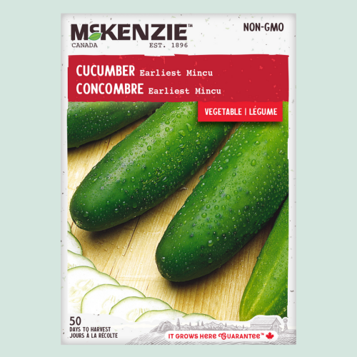 Concombre 'Earliest Mincu' - Semences