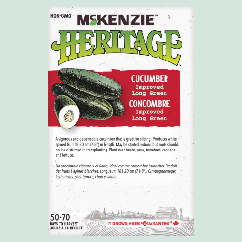Concombre Improved 'Long Green' - Semences