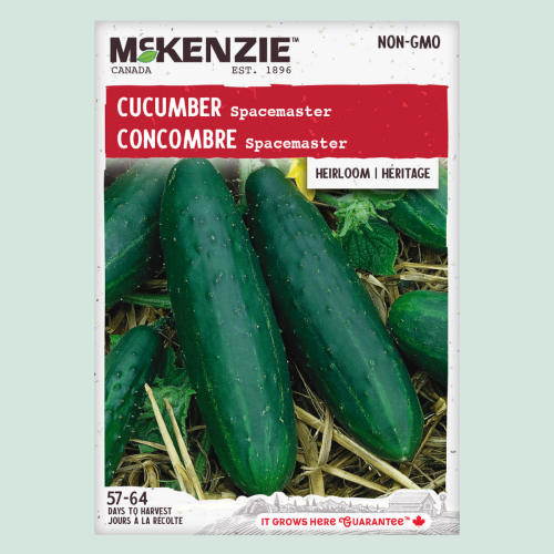 Concombre 'Spacemaster' - Semences