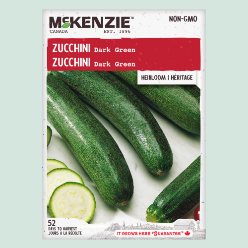 Zucchini 'Dark Green' - Semences
