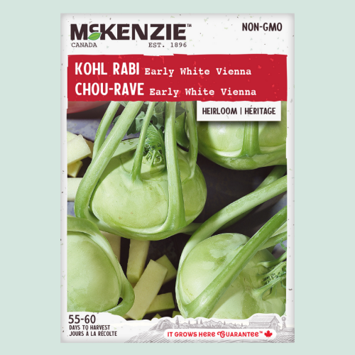 Chou-rave ' Early White Vienna' - Semences