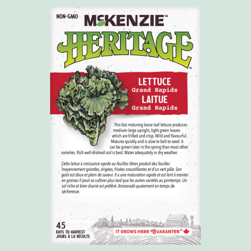 Laitue 'Grand Rapids' - Semences