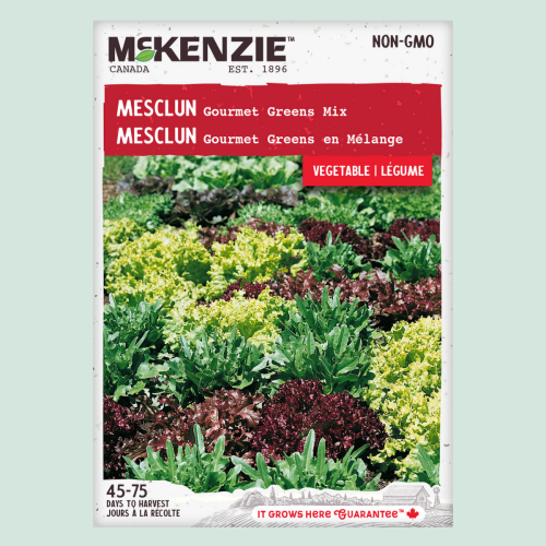 Mesclun 'Gourmet Greens Mix' - Semences