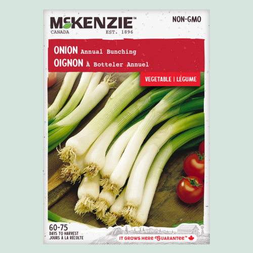Oignon à botteler - Semences