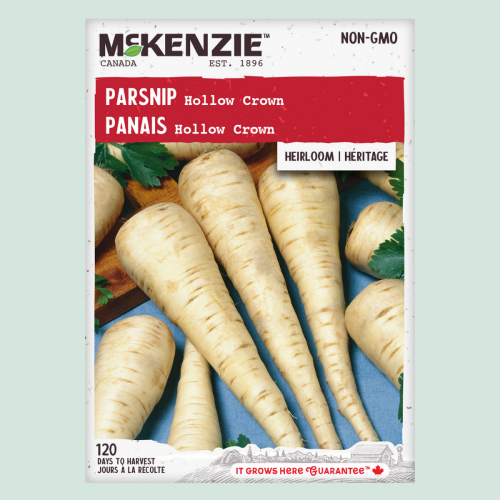 Panais 'Panais Hollow crown' - Semences