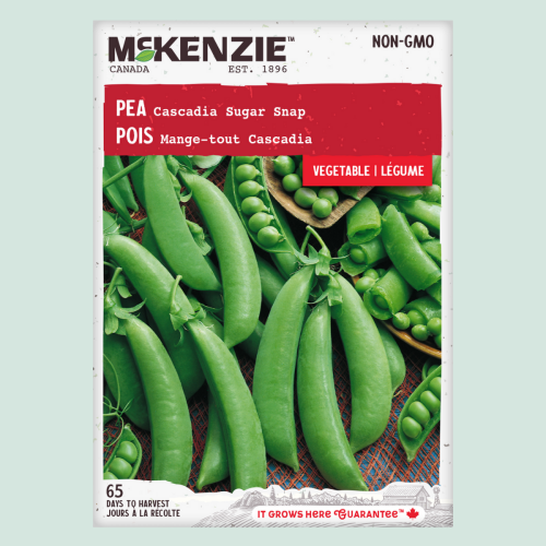 Pois mange-tout 'Cascadia Sugar Snap' - Semences