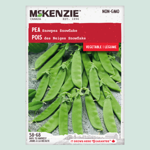 Pois des neiges 'Snowflake' - Semences