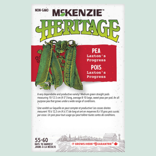 Pois 'Laxton's Progress' - Semences