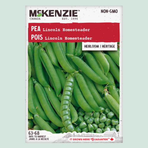 Pois 'Lincoln Homesteader'- Semences