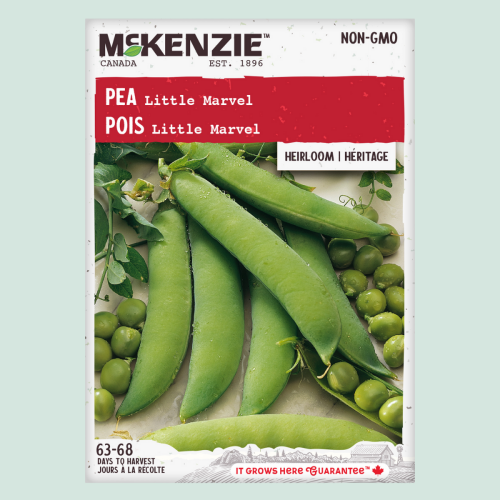 Pois 'Little Marvel' - Semences
