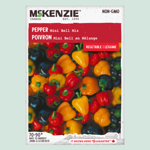 Poivron ' Mini Bell' - Semences