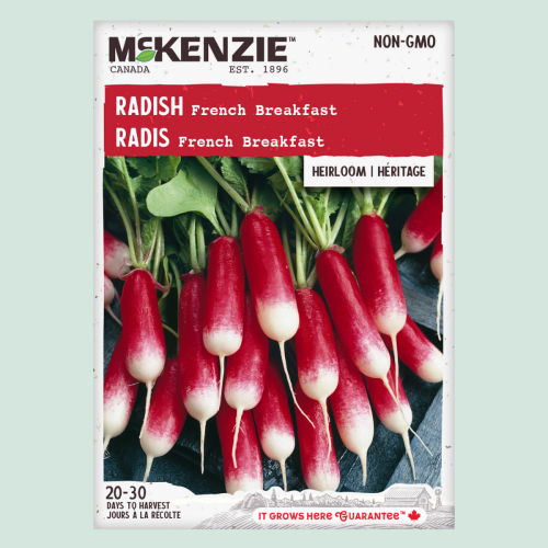 Radis ' Déjeuner Français' - Semences