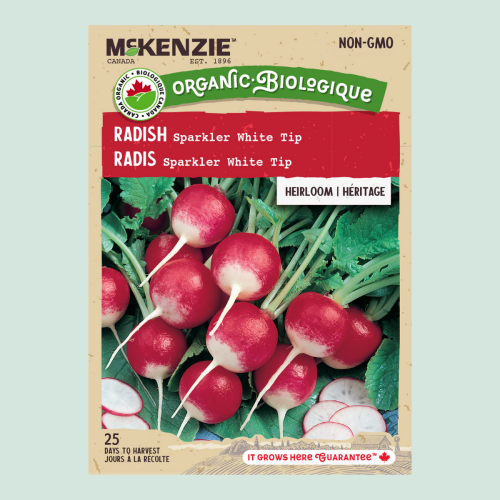Radis ' Sparker White' - Semences
